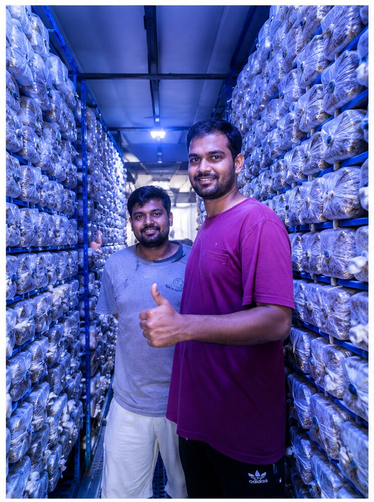 Dubai mushroom cultivation chamber client